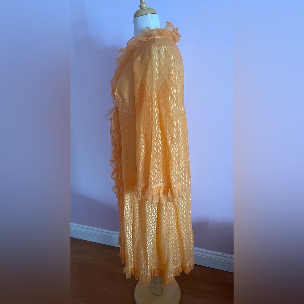 Vintage Ruffled Apricot Robe - Picture 3 of 10